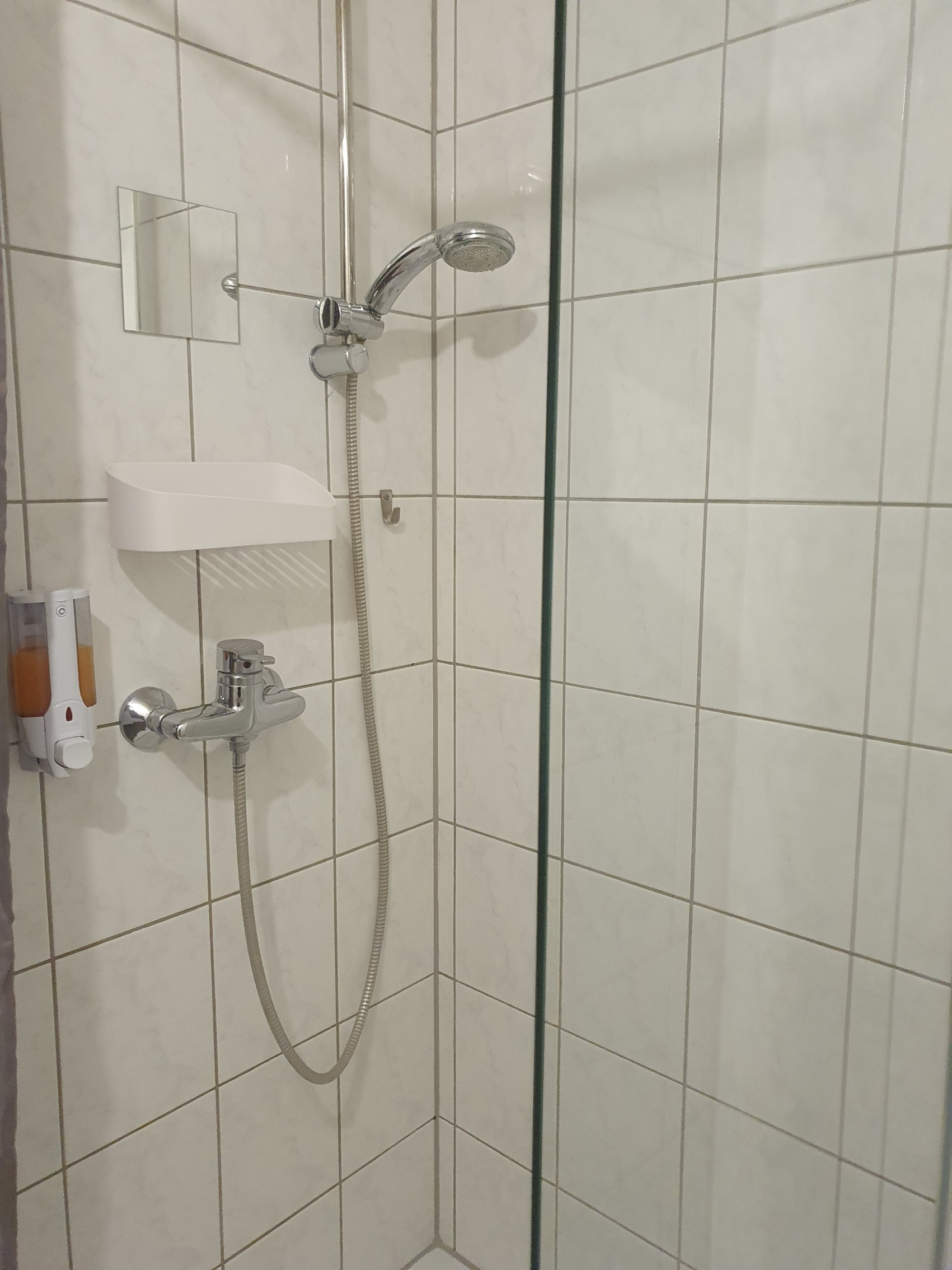 Dusche im Badezimmer des Queen-Studios mit Parkblick
